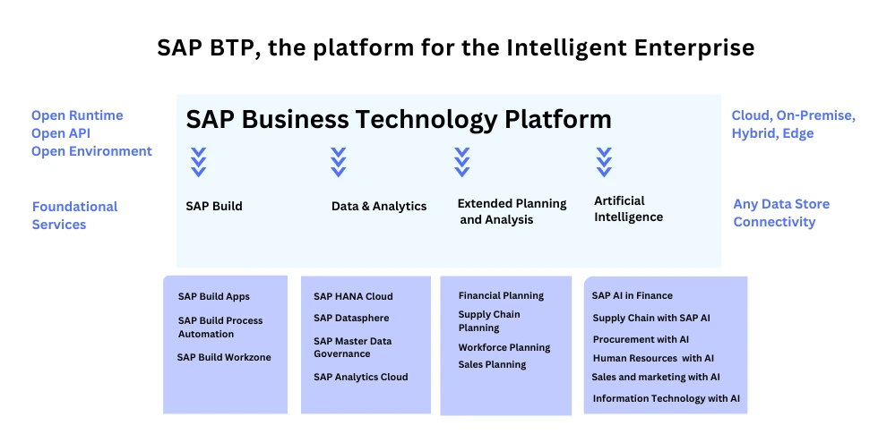 What is SAP BTP Solution RISE with SAP GROW with SAP VC ERP