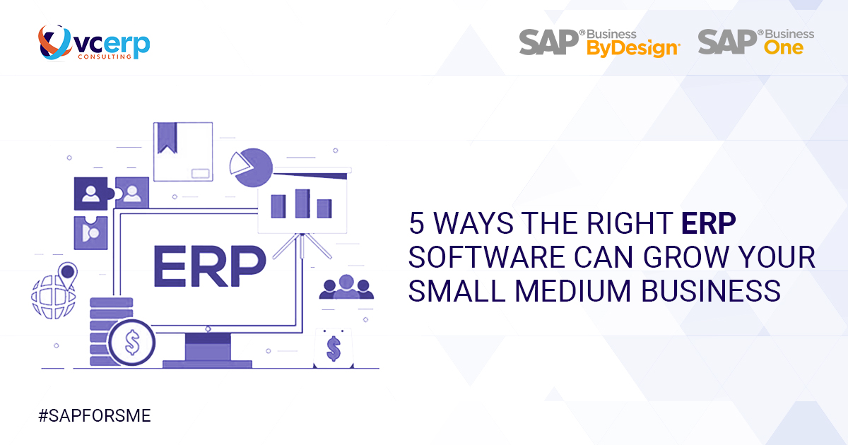 5 Ways the Right ERP Software Can Grow Your SME
